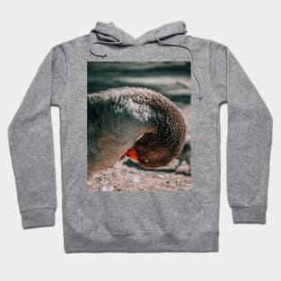 Lake Goose Wildlife Nature Photography Hoodie